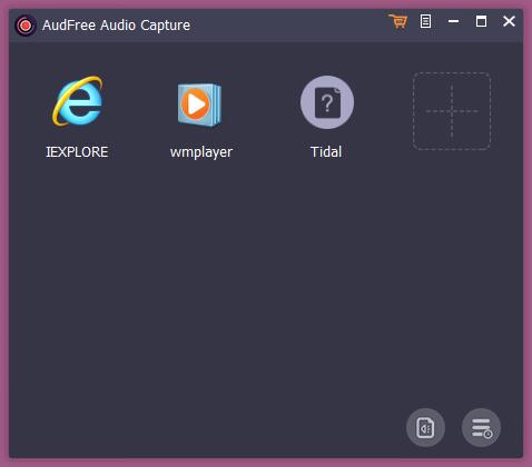 AudFree Audio Capture