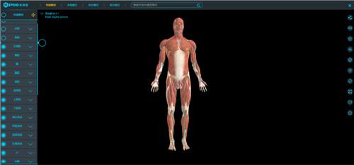 医维度3D解剖教学