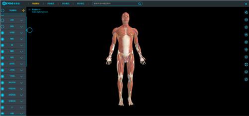 医维度3D解剖教学软件