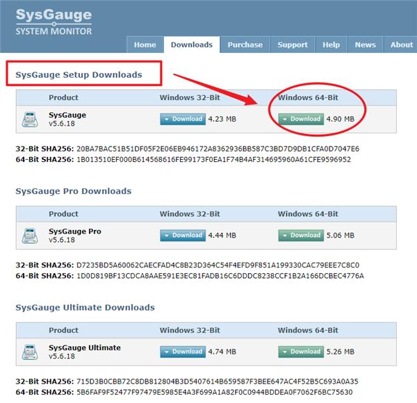 SysGauge Server