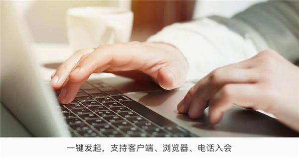 孔雀开会