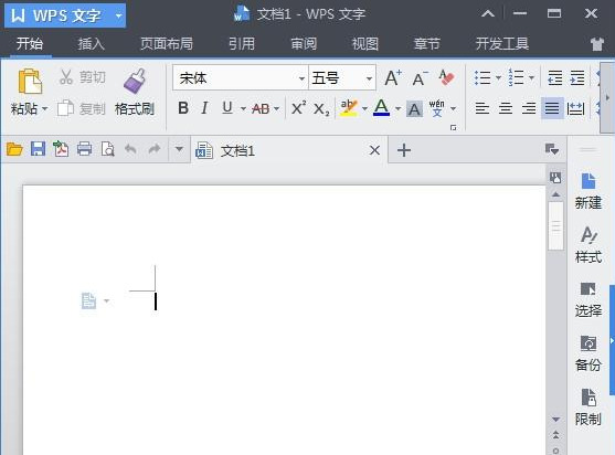 WPS Office