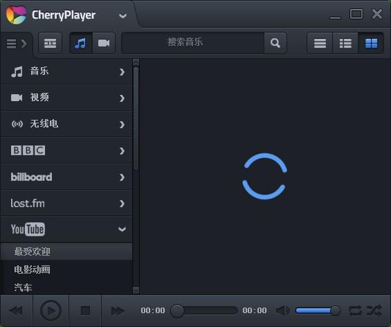 CherryPlayer破解版