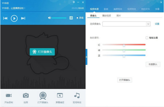yy伴侣虚拟视频2016