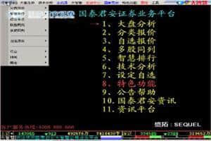 国泰君安大智慧官方版