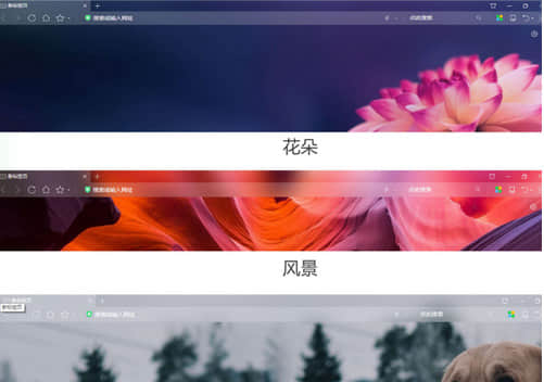 360浏览器