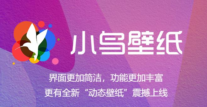 小鸟壁纸官方版