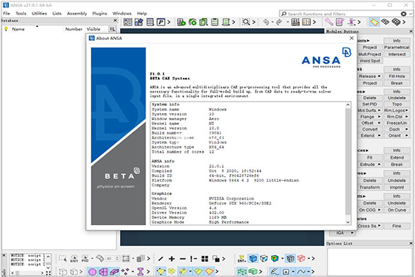 beta cae systems