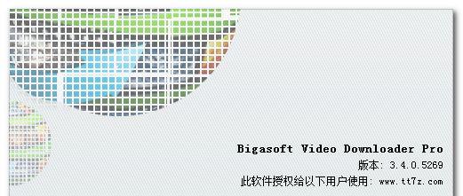 Bigasoft Video Downloader Pro v3.8.16.5549 中文注册版