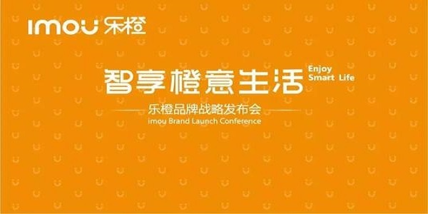 乐橙电脑客户端