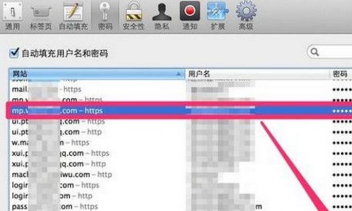 浏览器密码管理