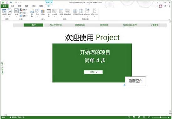 Office Project Professional 2013