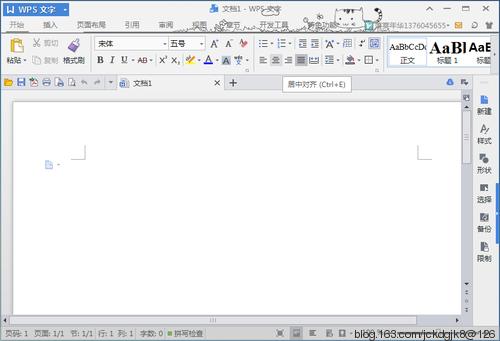 WPS Office