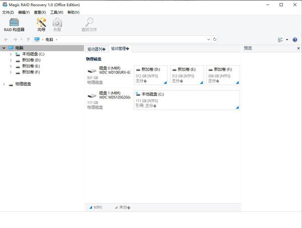 Magic RAID Recovery