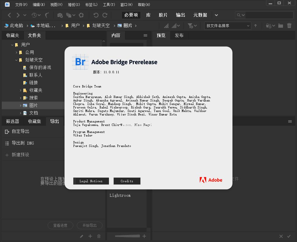 Adobe Bridge2021